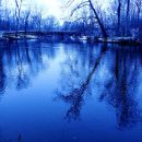 Staffing Services Tip: Help Your Employees Beat The Winter Blues