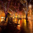 Job Seeking? Here’s How To Get Ahead During The Holidays